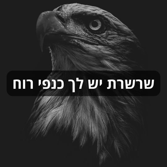 שרשרת יש לך כנפי רוח עם מילים של הרב קוק מבית ננו תכשיטים